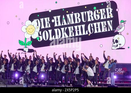 Hambourg, Allemagne. 10 mai 2024. Les membres du chœur masculin 'Die Hamburger Goldkehlchen' jouent sur une scène flottante dans le port de l'Elbe lors du 835e anniversaire du port de Hambourg. Crédit : Georg Wendt/dpa/Alamy Live News Banque D'Images