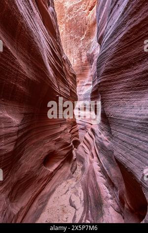 Wind Pebble slot canyon près de page Arizona met en évidence le passage étroit et étonnants, motifs complexes qui se forment sur des millions d'années à partir du c Banque D'Images