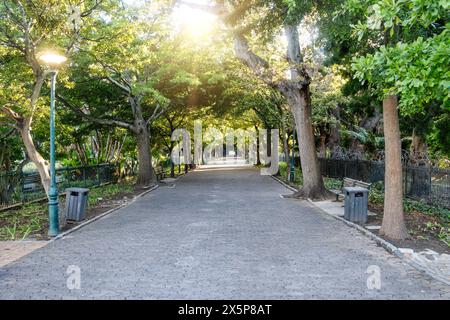 Ruelle dans un parc , perspective décroissante, arbres verts, été au Cap, Afrique du Sud, pavé de briques imbriquées, Banque D'Images