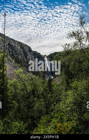 La plus haute cascade de Dalarna Suède, encadrée par une végétation luxuriante et des nuages en pointillés au-dessus. Cascade de Njupeskär traversant le parc national de Fulufjället Banque D'Images