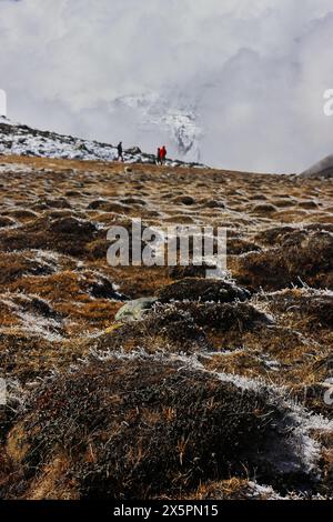 paysage pittoresque de la vallée de la toundra alpine et de la chaîne de montagnes enneigées couvertes de nuages de l'himalaya du nord du sikkim près de zéro point, en inde Banque D'Images