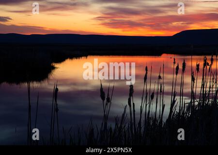 Marsh Sunrise, réserve naturelle de Summer Lake, Oregon Outback Scenic Byway, Oregon Banque D'Images