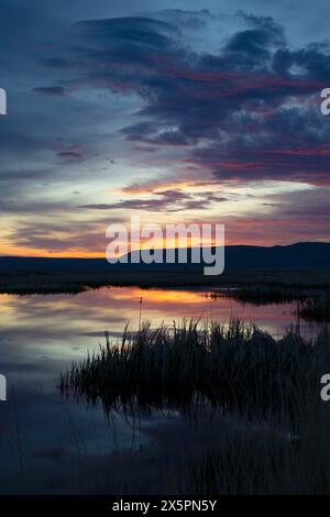 Marsh Sunrise, réserve naturelle de Summer Lake, Oregon Outback Scenic Byway, Oregon Banque D'Images