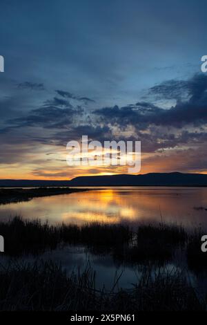 Marsh Sunrise, réserve naturelle de Summer Lake, Oregon Outback Scenic Byway, Oregon Banque D'Images