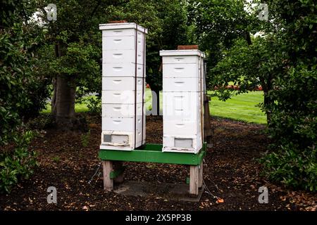 Washington, États-Unis. 10 mai 2024. Les ruches de la Maison Blanche vues lors d'une visite des jardins de la Maison Blanche à Washington, DC. Crédit : SOPA images Limited/Alamy Live News Banque D'Images