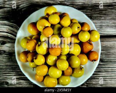 Hippophae, le genre des argousier, arbustes à feuilles caduques de la famille des Elaeagnaceae, épine de sable, épine de salive ou cerise de mer, baies jaune orangé, utilisé Banque D'Images