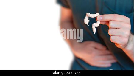 Homme tenant un modèle d'intestin miniature dans une main tout en serrant son estomac avec l'autre, illustrant sa douleur abdominale. Banque D'Images