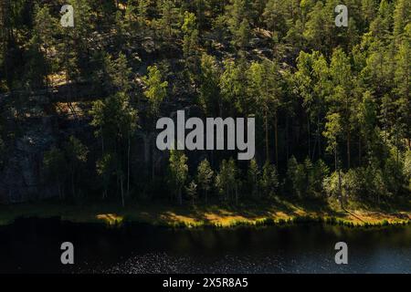 Lac dans la forêt, parc national d'Isojaervi, Finlande Banque D'Images