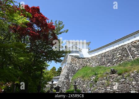 Himeji, Hyogo, Japon - 19 avril 2024 : tourelle près des feuilles vertes et rouges en journée ensoleillée sous le ciel bleu Banque D'Images