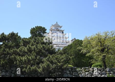 Himeji, Hyogo, Japon - 19 avril 2024 : Château de Himeji dans l'après-midi ensoleillé le jour du printemps Banque D'Images