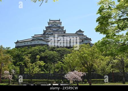 Himeji, Hyogo, Japon - 19 avril 2024 : arrière du château de Himeji dans l'après-midi ensoleillé le jour du printemps Banque D'Images