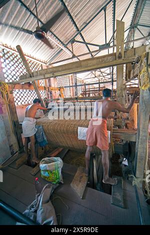Ouvriers dans l'usine de tissage de la coopération ouvriers Coir Mats et matages, production de tapis de coco, Muhamma, Alappuzha, Kerala, Inde Banque D'Images
