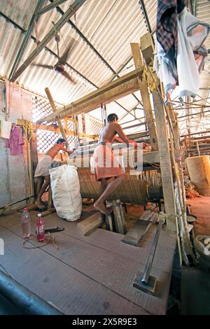 Travailleurs indiens dans l'usine de tissage de la coopération ouvriers Coir Mats et matages, production de tapis de coco, Muhamma, Alappuzha, Kerala, Inde Banque D'Images