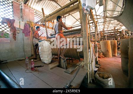 Travailleurs indiens dans l'usine de tissage de la coopération ouvriers Coir Mats et matages, production de tapis de coco, Muhamma, Alappuzha, Kerala, Inde Banque D'Images