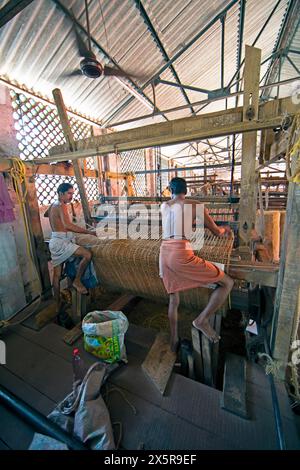 Ouvriers dans l'usine de tissage de la coopération ouvriers Coir Mats et matages, production de tapis de coco, Muhamma, Alappuzha, Kerala, Inde Banque D'Images