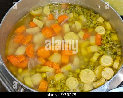 Soupe traditionnelle de légumes, tranches et morceaux de légumes fraîchement coupés de carotte, oignon, pomme de terre, courgette et petits pois, bouilli dans l'eau chaude u Banque D'Images