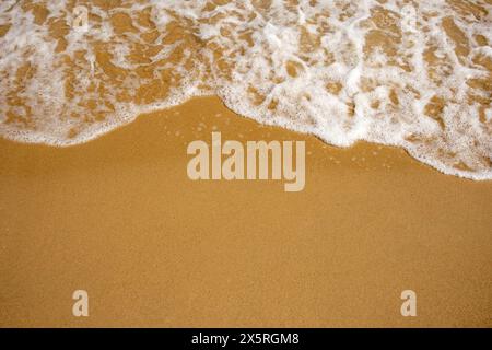 Gros plan sur de douces vagues mousseuses sur un rivage sablonneux, capturant les textures tranquilles de l'océan Banque D'Images