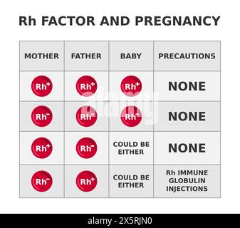 Facteur RH et grossesse. Incompatibilité du facteur rhésus lorsque la mère est RH négative et que le fœtus est RH positif. Tableau indiquant les groupes sanguins possibles. Illustration de Vecteur