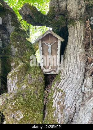 Un martyr, en Bavière appelé Marterl est un sanctuaire en bord de route. Ici, il est situé dans un très vieux tronc de citron vert en Bavière, Allemagne, Europe. Banque D'Images