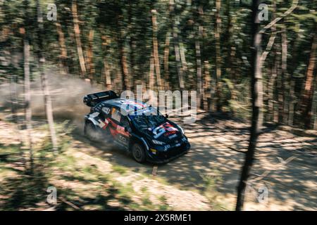 WRC Rally Portugal - SS4 Góis - Sébastien Ogier et Vincent Landais - Toyota GR Yaris Rally1 Hybrid - panoramique en forêt Banque D'Images