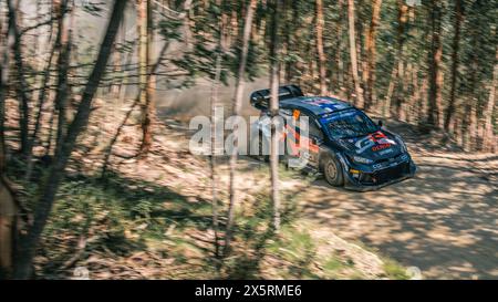 WRC Rally Portugal - SS4 Góis - Kalle Rovanperä et Jonne Halttunen - Toyota GR Yaris Rally1 Hybrid - panoramique en forêt Banque D'Images