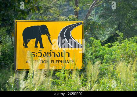 Panneau de signalisation métallique attention éléphants traversant texte attention éléphant traversant la campagne thaïlandaise jour ensoleillé Banque D'Images