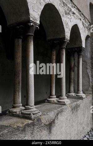 Chapiteaux de feuilles d'eau sur colonnes couplées dans le cloître médiéval attaché à la cathédrale de Santa Maria Assunta, Bressanone-Brixen, Tyrol du Sud, Trentin-Haut-Adige, Italie. Banque D'Images