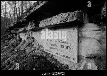 Le Blockhaus d'Éperlecques (en anglais : bunker d'Éperlecques, également appelé 'le bunker de Watten' ou simplement 'Watten')[5] est un bunker de la seconde Guerre mondiale, qui fait maintenant partie d'un musée, près de Saint-Omer dans le nord du département du pas-de-Calais en France, et seulement à environ 14,4 kilomètres (8,9 milles) au nord-nord-ouest de l'installation de lancement plus développée de la Coupole V-2, dans la même zone générale. Le bunker, construit par l'Allemagne nazie sous le nom de code Kraftwerk Nord West (centrale Nord-Ouest) entre mars 1943 et juillet 1944, était à l'origine destiné à être une installation de lancement pour le V-2 (A-4) missi balistique Banque D'Images