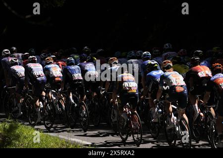 Italia. 11 mai 2024. Le pack roule des cycles pendant l'étape 8 du Giro d'Italia de Spoleto à Prati di Tivo, 11 mai 2024 Italie. (Photo de Fabio Ferrari/LaPresse) crédit : LaPresse/Alamy Live News Banque D'Images