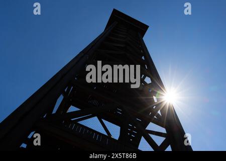 Der Goetheturm in Frankfurt am main Der Goetheturm erhebt sich BEI Sonnenschein aus dem Frankfurter Stadtwald. Frankfurt am main Goetheturm Hessen Deutschland *** le Goetheturm à Francfort-sur-le-main le Goetheturm naît de la forêt de Francfort sous le soleil Francfort-sur-le-main Goetheturm Hessen Allemagne 2025-05-11 ffm goetheturm 01 Banque D'Images