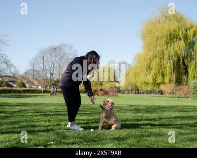 Femme dressant le chien pour donner la patte dans le parc Banque D'Images