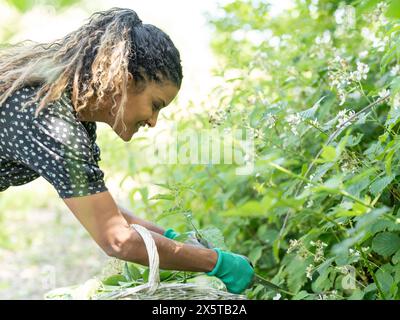 Femme buvant des fleurs dans le panier Banque D'Images