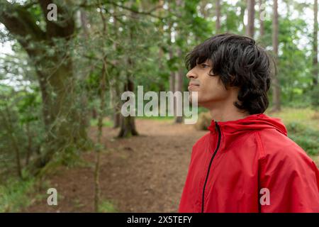Jeune homme randonnée en forêt Banque D'Images