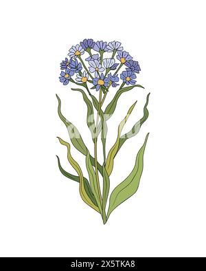 Verbena fleur sauvage dessinée à la main art vectoriel Illustration de Vecteur