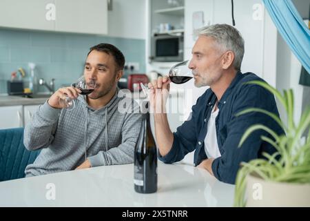 Couple masculin buvant du vin rouge à la maison Banque D'Images