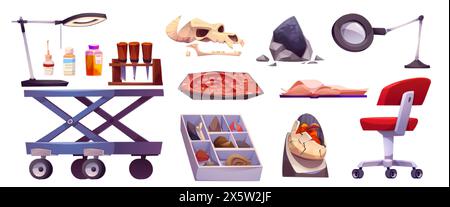 Éléments d'armoire de laboratoire et de paléontologie fossiles. Outils de recherche de laboratoire de scientifique en archéologie vectorielle de dessin animé et expositions à l'étude - os de dinosaure Illustration de Vecteur