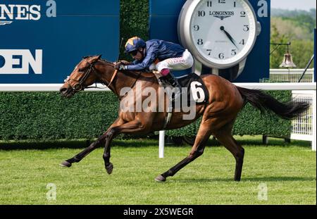 Ascot, Royaume-Uni. Samedi 11 mai 2024. Warda Jamila et Oisin Murphy remportent les Mariner Systems Fillies' handicap Stakes pour l'entraîneur Andrew Balding et le propriétaire Mr Sultan Ali. Crédit JTW Equine images / Alamy Live News Banque D'Images