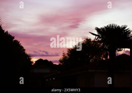 Silhouettes sombres d'arbres tropicaux, palmier contre un ciel de rêve nuageux rose. Rêve, concept de fantaisie. Paysage naturel au coucher du soleil au crépuscule, crépuscule. Banque D'Images