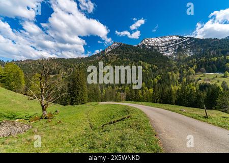 Beau sentier de randonnée circulaire panoramique vers le Denneberg à la Nagelfluhkette dans l'Allgau près d'Oberstaufen Steibis Banque D'Images