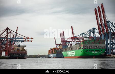 Containerschiff Containerschiffe HMM und Evergreen im Hafen von Hamburg, Deutschland *** porte-conteneurs navires porte-conteneurs HMM et Evergreen dans le port de Hambourg, Allemagne Copyright : xNikolaixKislichkox 6M6A3266 Banque D'Images