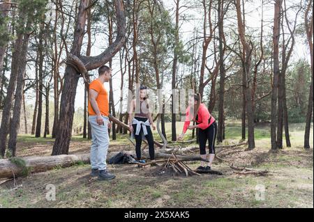 Trois touristes ramassent du bois de chauffage pour un feu dans une forêt de pins. Banque D'Images