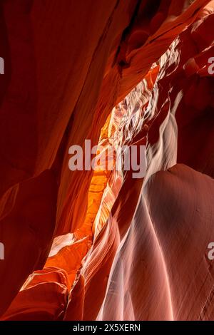 Cardiac slot canyon près de la page Arizona met en évidence le passage étroit, la lumière éclatante étonnante et les motifs complexes qui se forment sur des millions d'entre vous Banque D'Images