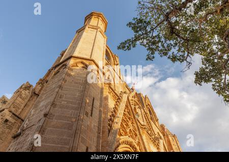 Détail de : Cathédrale Nicolas | Mosquée Lala Mustafa Pacha à Famagouste, Chypre du Nord. Banque D'Images