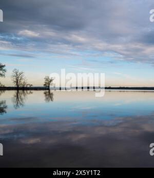 Reflets miroirs à l'aube : arbres tranquilles et cieux doux sur des eaux tranquilles Banque D'Images