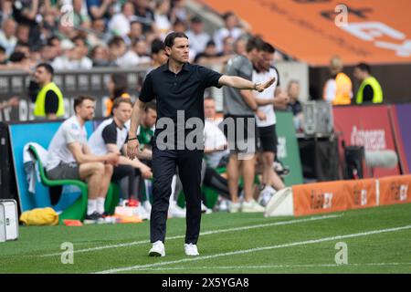 Entraîneur Gerardo SEOANE MG Gestik, gestikuliert, Fussball 1. Bundesliga, 33. Spieltag, Borussia Moenchengladbach MG - Eintracht Frankfurt F 1:1 am 11.05.2024 in Moenchengladbach/ Deutschland. Les règlements du LDF interdisent toute utilisation de photographies comme séquences d'images et/ou quasi-vidéo *** Coach Gerardo SEOANE MG gestes, gestes, Football 1 Bundesliga, 33 Journée, Borussia Moenchengladbach MG Eintracht Frankfurt F 1 1 le 11 05 2024 in Moenchengladbach Allemagne la réglementation DFL interdit toute utilisation de photographies comme séquences d'images et/ou quasi vidéo Banque D'Images