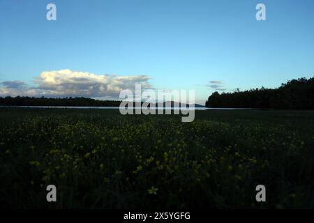 Coucher de soleil au lac Plastiras. Lac Plastiras, situé dans la zone plus large d'Agrafa (région de Thessalie) est entouré par un paysage idyllique d'incomparab Banque D'Images