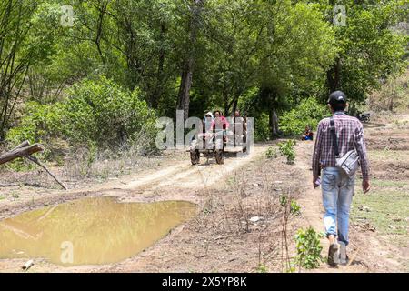 Myawaddy, Myanmar. 11 mai 2024. Les gens qui fuient la guerre de Myawaddy sont vus monter sur une charrette pour obtenir les services médicaux. Les réfugiés de guerre de Myawaddy vivent dans la forêt à cause de la guerre entre le groupe de résistance et l'armée birmane. L'armée birmane a utilisé des bombes à moteur et des frappes aériennes. Par conséquent, beaucoup de gens fuient l'endroit où ils vivaient. Certaines personnes qui pouvaient se permettre les charges coûteuses fuient à Mae sot, en Thaïlande. Mais pour les gens qui ne pouvaient pas se les permettre, ils vivaient dans la Jungle. (Photo de Kaung Zaw Hein/SOPA images/Sipa USA) crédit : Sipa USA/Alamy Live News Banque D'Images