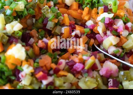 Une salade savoureuse nommée vinaigrette - une salade traditionnelle ukrainienne et russe de légumes. Plat végétarien. Nourriture végétalienne avec oignon vert, pommes de terre bouillies Banque D'Images