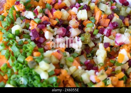 Une salade savoureuse nommée vinaigrette - une salade traditionnelle ukrainienne et russe de légumes. Plat végétarien. Nourriture végétalienne avec oignon vert, pommes de terre bouillies Banque D'Images