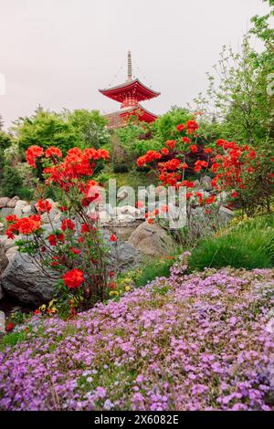 Beau jardin japonais avec des fleurs et temple bouddhiste dans le parc de Krasnodar Banque D'Images